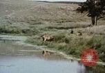 Image Paysage de grandes plaines United States United States USA, 1966, de la seconde 20 séquences d'archives historiques vidéo 65675075460
