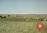 Image Paysage de grandes plaines United States United States USA, 1966, de la seconde 21 séquences d'archives historiques vidéo 65675075460