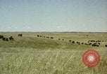 Image Paysage de grandes plaines United States United States USA, 1966, de la seconde 22 séquences d'archives historiques vidéo 65675075460