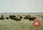 Image Paysage de grandes plaines United States United States USA, 1966, de la seconde 24 séquences d'archives historiques vidéo 65675075460