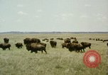 Image Paysage de grandes plaines United States United States USA, 1966, de la seconde 25 séquences d'archives historiques vidéo 65675075460