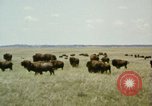 Image Paysage de grandes plaines United States United States USA, 1966, de la seconde 26 séquences d'archives historiques vidéo 65675075460