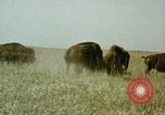 Image Paysage de grandes plaines United States United States USA, 1966, de la seconde 27 séquences d'archives historiques vidéo 65675075460