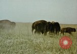 Image Paysage de grandes plaines United States United States USA, 1966, de la seconde 28 séquences d'archives historiques vidéo 65675075460