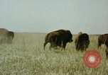 Image Paysage de grandes plaines United States United States USA, 1966, de la seconde 29 séquences d'archives historiques vidéo 65675075460