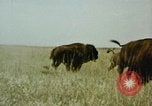 Image Paysage de grandes plaines United States United States USA, 1966, de la seconde 30 séquences d'archives historiques vidéo 65675075460