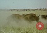 Image Paysage de grandes plaines United States United States USA, 1966, de la seconde 31 séquences d'archives historiques vidéo 65675075460