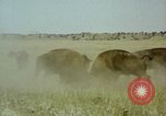 Image Paysage de grandes plaines United States United States USA, 1966, de la seconde 32 séquences d'archives historiques vidéo 65675075460