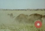 Image Paysage de grandes plaines United States United States USA, 1966, de la seconde 33 séquences d'archives historiques vidéo 65675075460