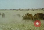 Image Paysage de grandes plaines United States United States USA, 1966, de la seconde 34 séquences d'archives historiques vidéo 65675075460