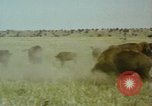 Image Paysage de grandes plaines United States United States USA, 1966, de la seconde 35 séquences d'archives historiques vidéo 65675075460