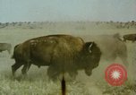 Image Paysage de grandes plaines United States United States USA, 1966, de la seconde 38 séquences d'archives historiques vidéo 65675075460
