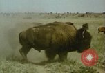 Image Paysage de grandes plaines United States United States USA, 1966, de la seconde 39 séquences d'archives historiques vidéo 65675075460