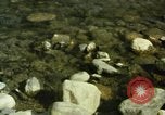 Image Site de découverte de l'or dans la région de American River à Coloma California United States USA, 1966, de la seconde 14 séquences d'archives historiques vidéo 65675075462