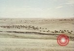 Image Train locomotive à vapeur émet de la fumée noire United States USA, 1966, de la seconde 36 séquences d'archives historiques vidéo 65675075465