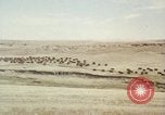 Image Train locomotive à vapeur émet de la fumée noire United States USA, 1966, de la seconde 37 séquences d'archives historiques vidéo 65675075465