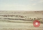 Image Train locomotive à vapeur émet de la fumée noire United States USA, 1966, de la seconde 38 séquences d'archives historiques vidéo 65675075465