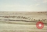 Image Train locomotive à vapeur émet de la fumée noire United States USA, 1966, de la seconde 39 séquences d'archives historiques vidéo 65675075465