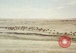 Image Train locomotive à vapeur émet de la fumée noire United States USA, 1966, de la seconde 40 séquences d'archives historiques vidéo 65675075465