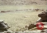 Image Train locomotive à vapeur émet de la fumée noire United States USA, 1966, de la seconde 41 séquences d'archives historiques vidéo 65675075465