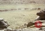 Image Train locomotive à vapeur émet de la fumée noire United States USA, 1966, de la seconde 43 séquences d'archives historiques vidéo 65675075465