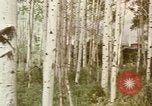 Image Train locomotive à vapeur émet de la fumée noire United States USA, 1966, de la seconde 55 séquences d'archives historiques vidéo 65675075465