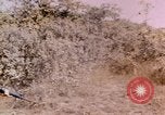 Standbild USA Soldaten Vietnam, 1968, aus Sekunde 24 historischem Filmmaterial Videoclip 65675075469
