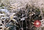 Standbild USA Soldaten Vietnam, 1968, aus Sekunde 42 historischem Filmmaterial Videoclip 65675075469