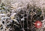 Standbild USA Soldaten Vietnam, 1968, aus Sekunde 44 historischem Filmmaterial Videoclip 65675075469