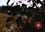 Standbild USA Soldaten Vietnam, 1968, aus Sekunde 45 historischem Filmmaterial Videoclip 65675075469