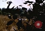 Standbild USA Soldaten Vietnam, 1968, aus Sekunde 46 historischem Filmmaterial Videoclip 65675075469