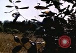 Standbild USA Soldaten Vietnam, 1968, aus Sekunde 47 historischem Filmmaterial Videoclip 65675075469