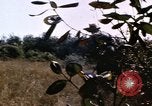 Standbild USA Soldaten Vietnam, 1968, aus Sekunde 52 historischem Filmmaterial Videoclip 65675075469