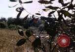 Standbild USA Soldaten Vietnam, 1968, aus Sekunde 54 historischem Filmmaterial Videoclip 65675075469