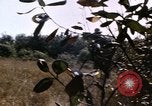Standbild USA Soldaten Vietnam, 1968, aus Sekunde 55 historischem Filmmaterial Videoclip 65675075469