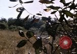 Standbild USA Soldaten Vietnam, 1968, aus Sekunde 56 historischem Filmmaterial Videoclip 65675075469