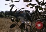 Standbild USA Soldaten Vietnam, 1968, aus Sekunde 57 historischem Filmmaterial Videoclip 65675075469