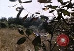 Standbild USA Soldaten Vietnam, 1968, aus Sekunde 58 historischem Filmmaterial Videoclip 65675075469