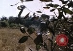 Standbild USA Soldaten Vietnam, 1968, aus Sekunde 60 historischem Filmmaterial Videoclip 65675075469
