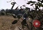 Standbild USA Soldaten Vietnam, 1968, aus Sekunde 62 historischem Filmmaterial Videoclip 65675075469