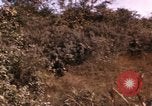 Standbild USA Soldaten Vietnam, 1968, aus Sekunde 35 historischem Filmmaterial Videoclip 65675075471