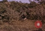 Standbild USA Soldaten Vietnam, 1968, aus Sekunde 56 historischem Filmmaterial Videoclip 65675075471