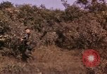 Standbild USA Soldaten Vietnam, 1968, aus Sekunde 62 historischem Filmmaterial Videoclip 65675075471