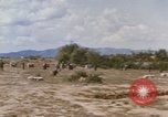 Standbild Tiger Division koreanische Soldaten Vietnam, 1968, aus Sekunde 21 historischem Filmmaterial Videoclip 65675075479