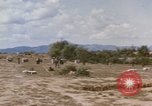 Standbild Tiger Division koreanische Soldaten Vietnam, 1968, aus Sekunde 23 historischem Filmmaterial Videoclip 65675075479