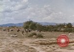 Standbild Tiger Division koreanische Soldaten Vietnam, 1968, aus Sekunde 26 historischem Filmmaterial Videoclip 65675075479