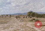 Standbild Tiger Division koreanische Soldaten Vietnam, 1968, aus Sekunde 28 historischem Filmmaterial Videoclip 65675075479
