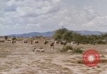 Standbild Tiger Division koreanische Soldaten Vietnam, 1968, aus Sekunde 31 historischem Filmmaterial Videoclip 65675075479