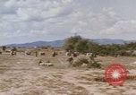 Standbild Tiger Division koreanische Soldaten Vietnam, 1968, aus Sekunde 32 historischem Filmmaterial Videoclip 65675075479