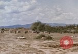 Standbild Tiger Division koreanische Soldaten Vietnam, 1968, aus Sekunde 36 historischem Filmmaterial Videoclip 65675075479